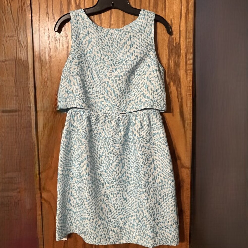 The Limited Dress